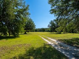 Picture of 11420 NW 110Th Avenue, Reddick, FL 32686