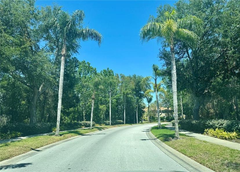 Picture of 476 Denise Street, Tarpon Springs FL 34689