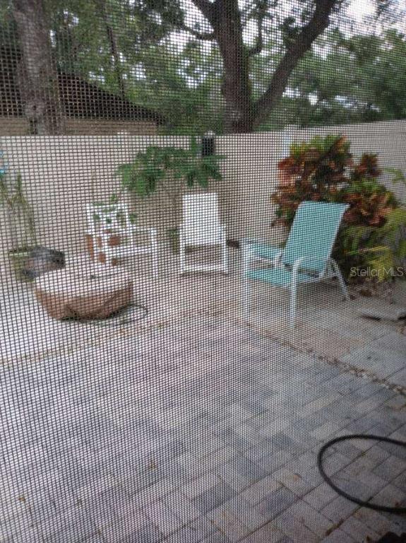 Picture of 6203 Pina Colada Court Unit None, Tampa FL 33634