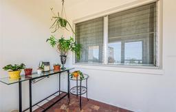 Picture of 1524 Lemon Street, Clearwater, FL 33756