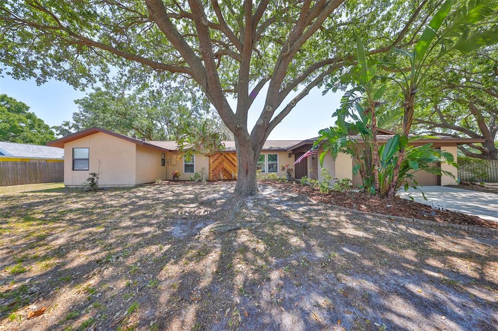 Picture of 601 Cedar Grove Drive, Brandon, FL 33511