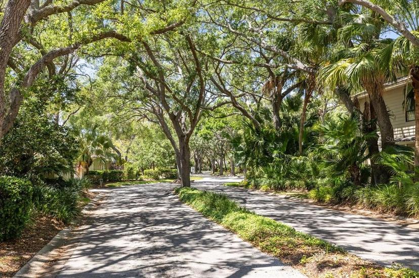 Picture of 110 Parkside Colony Drive, Tarpon Springs FL 34689