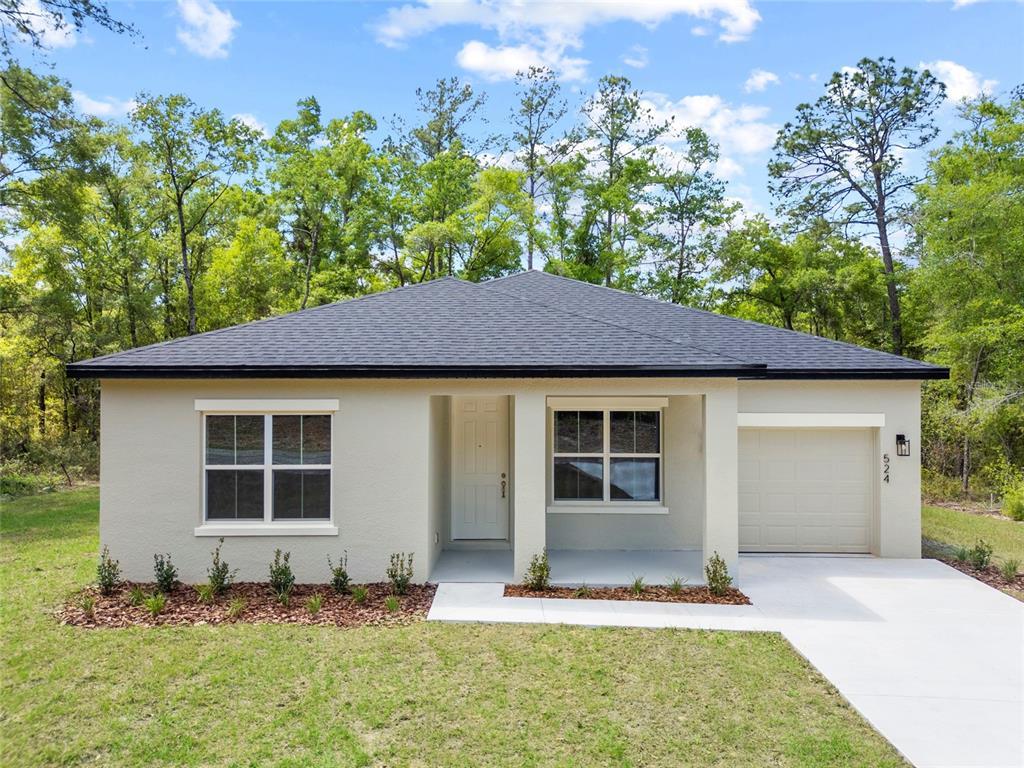 Picture of 241 E Reel Loop, Dunnellon, FL 34434