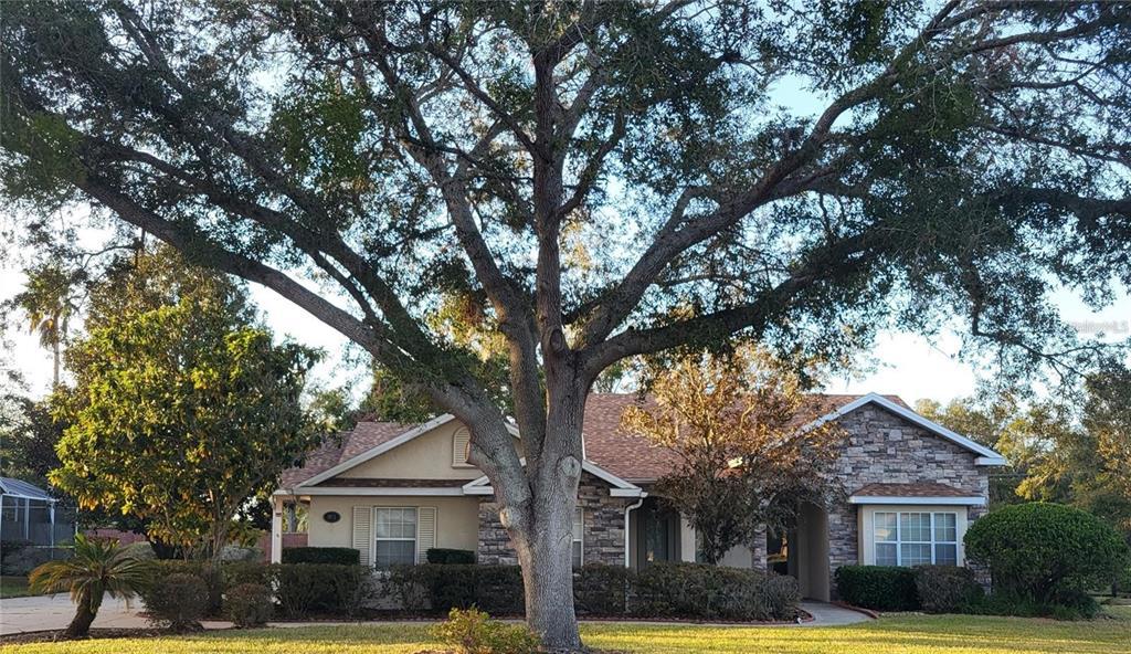 Picture of 1072 Ceasars Court, Mount Dora, FL 32757