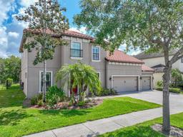 Picture of 7927 Hampton Lake Drive, Tampa, FL 33647