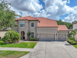Picture of 7927 Hampton Lake Drive, Tampa, FL 33647