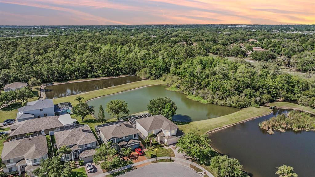 Picture of 417 Ventura Drive, Oldsmar, FL 34677