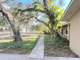 Picture of 3907 Applegate Circle, Brandon, FL 33511