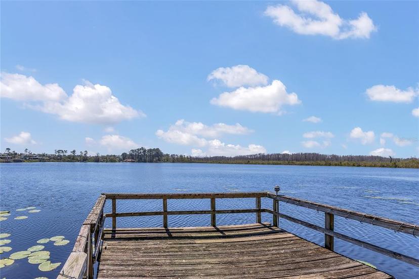 Picture of 9222 Charles E Limpus Road, Orlando FL 32836
