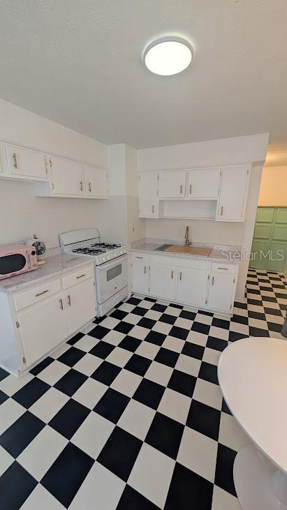 Picture of 14206 NW 166Th Place, Alachua FL 32615
