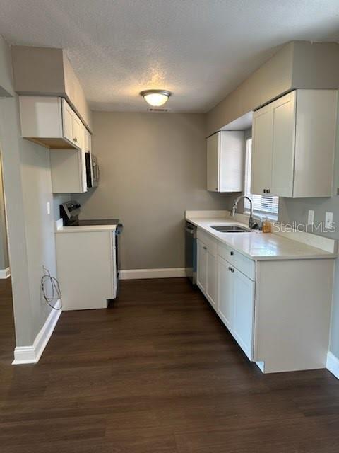 Picture of 2520 Park Lake Drive, Deland FL 32724
