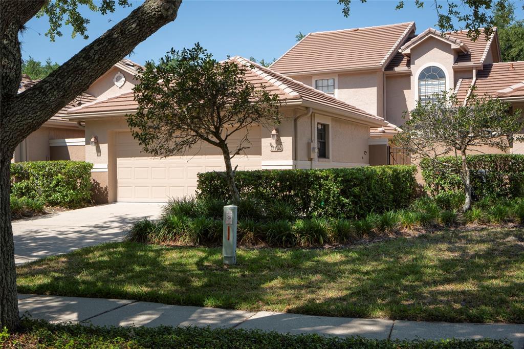 Picture of 17730 Oak Bridge Street, Tampa, FL 33647
