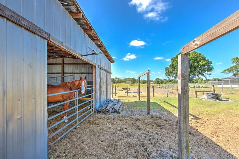 Picture of 6709 W Knights Griffin Road, Plant City FL 33565
