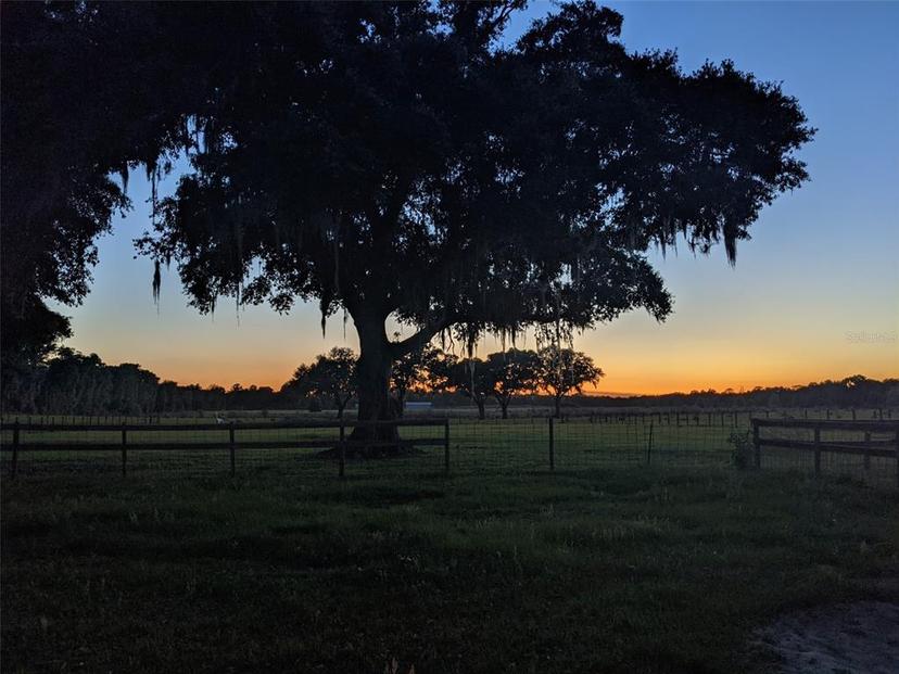 Picture of 11070 SW 282Nd Street, Newberry FL 32669