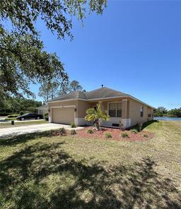 Picture of 20606 Whitewood Way, Tampa, FL 33647
