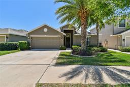 Picture of 11506 Mansfield Point Drive, Riverview, FL 33569