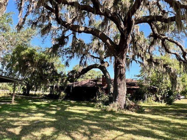 Picture of 19726 Mccall Road, Altoona FL 32702