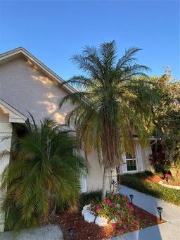 Picture of 4504 Cabbage Palm Drive, Valrico, FL 33596