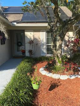 Picture of 4504 Cabbage Palm Drive, Valrico, FL 33596