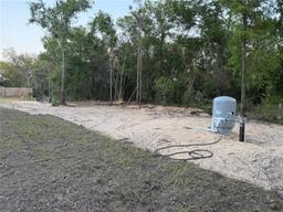Picture of 227 Locust Road, Ocala, FL 34472