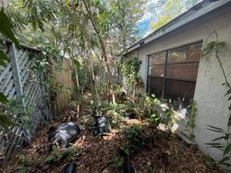 Picture of 5517 Pentail Circle, Tampa, FL 33625
