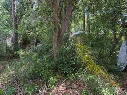 Picture of 5517 Pentail Circle, Tampa, FL 33625