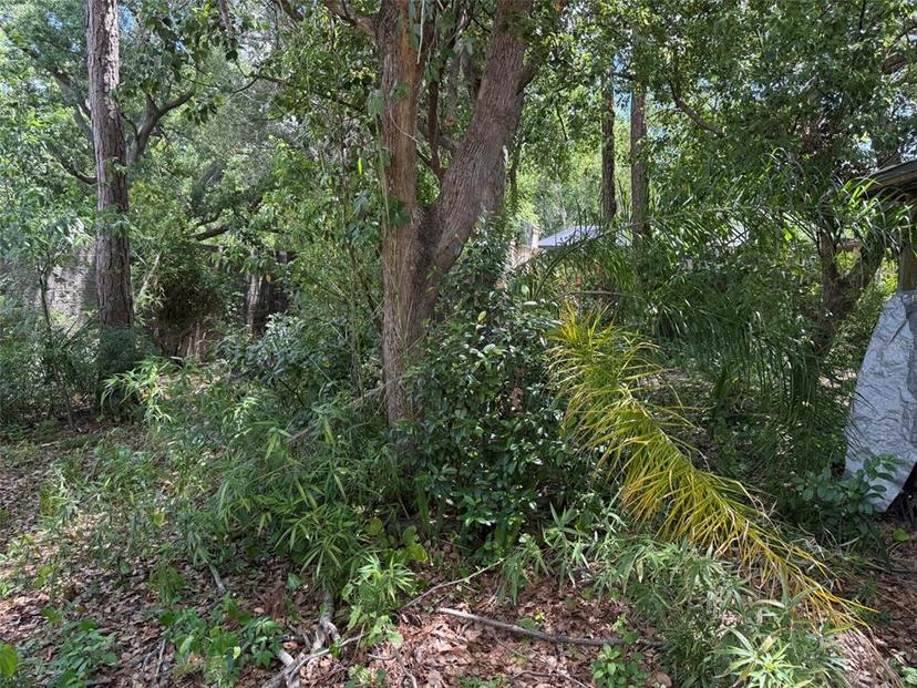 Picture of 5517 Pentail Circle, Tampa FL 33625