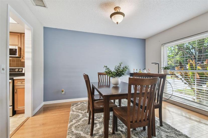 Picture of 13803 Cherry Brook Lane, Tampa FL 33618