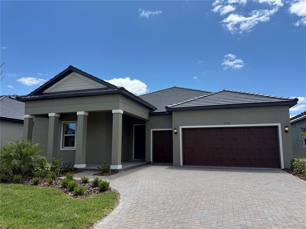 Picture of 31556 Cardinal Yard Drive, San Antonio, FL 33576