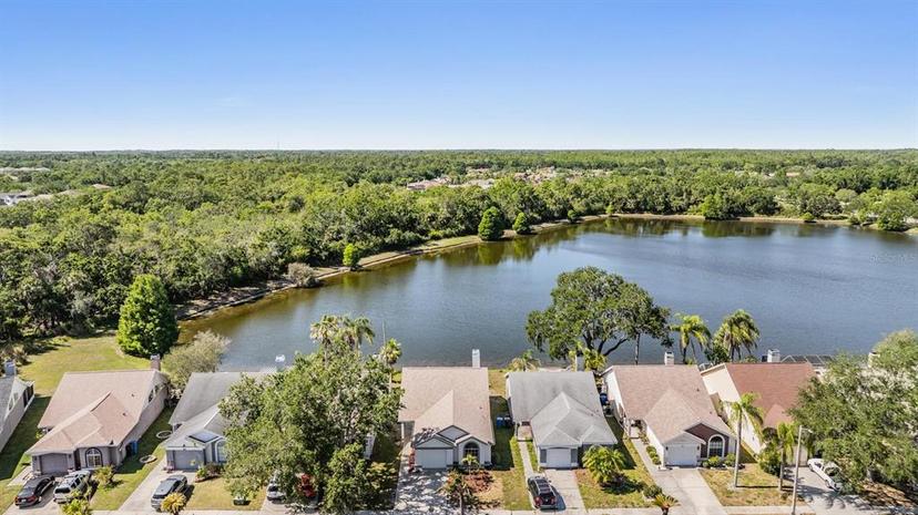 Picture of 11639 Sunshine Pond Road, Tampa FL 33635