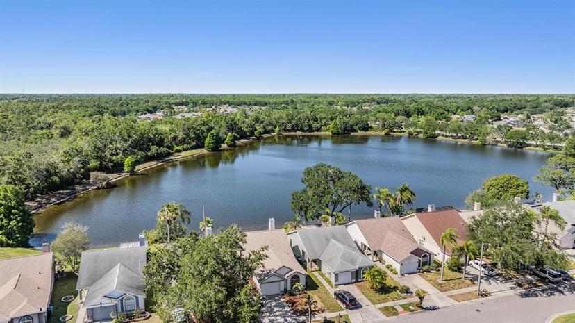 Picture of 11639 Sunshine Pond Road, Tampa FL 33635
