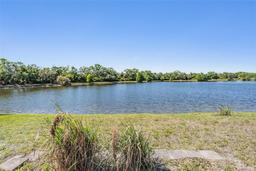 Picture of 11639 Sunshine Pond Road, Tampa, FL 33635
