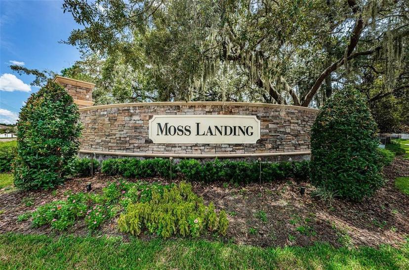 Picture of 11118 Running Pine Drive, Riverview FL 33569