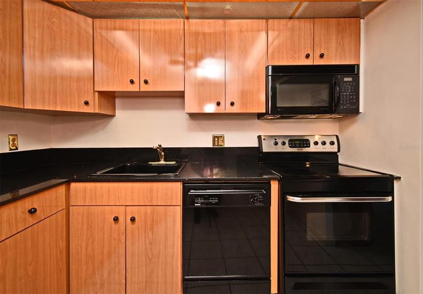 Picture of 400 E Colonial Drive Unit 1003, Orlando FL 32803