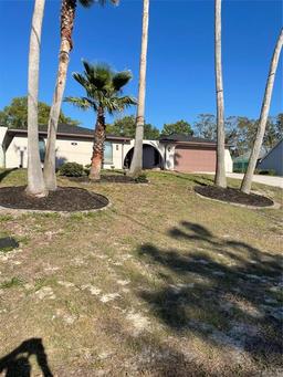Picture of 186 Dan River Drive, Spring Hill, FL 34606