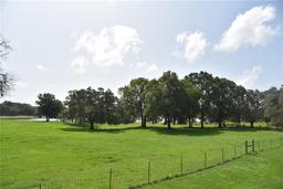 Picture of 2658 NE 353 Highway, Old Town, FL 32680
