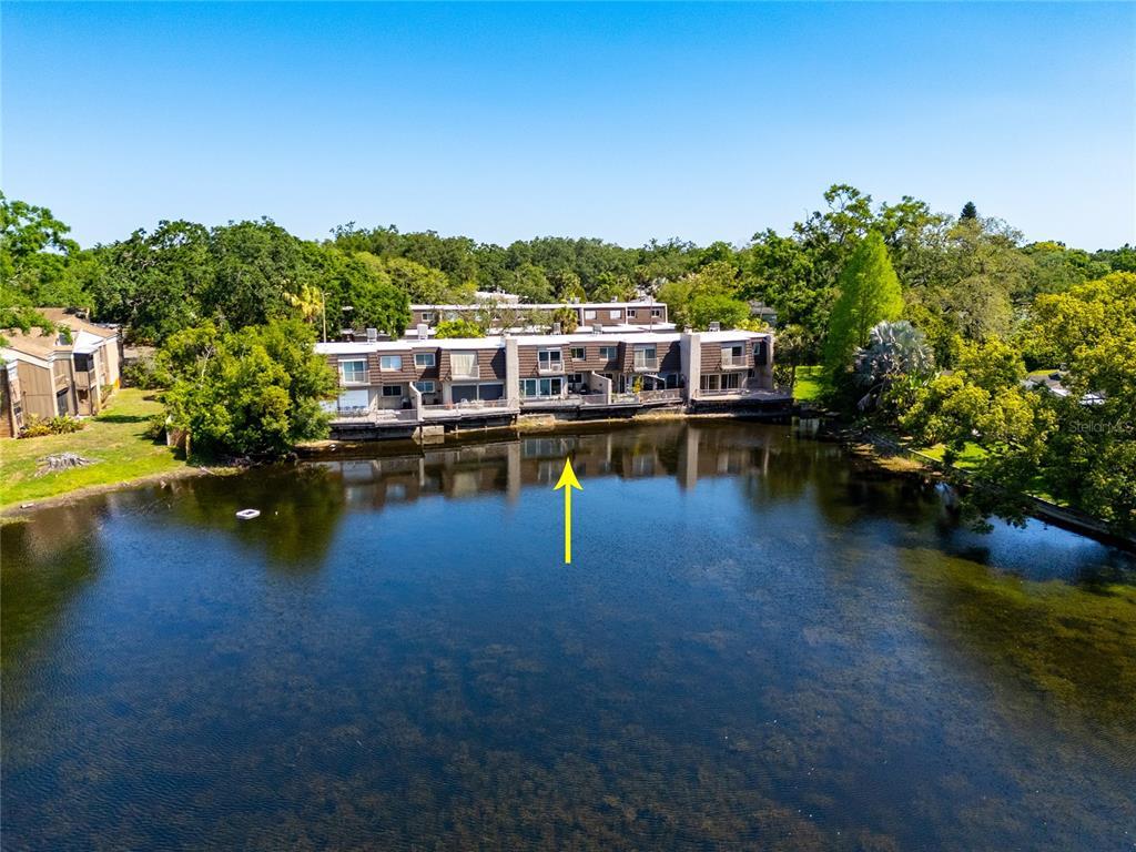 Picture of 10605 Carrollbrook Lane, Tampa, FL 33618