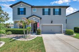 Picture of 8226 Summer Brook Court, Land O Lakes, FL 34638