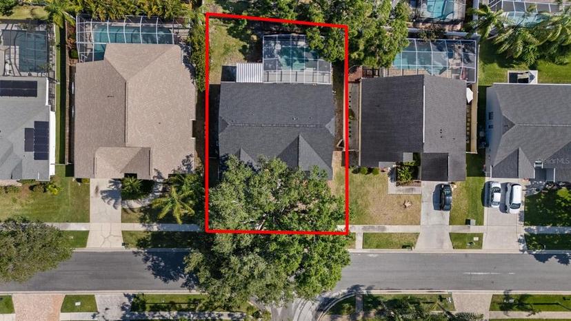 Picture of 6501 Appaloosa Drive, Tampa FL 33625