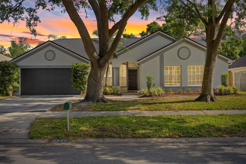 Picture of 6501 Appaloosa Drive, Tampa, FL 33625