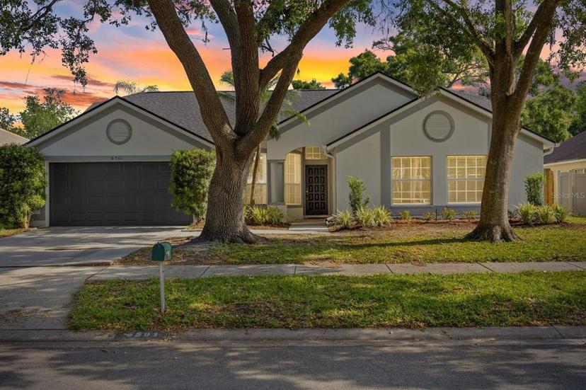 Picture of 6501 Appaloosa Drive, Tampa FL 33625