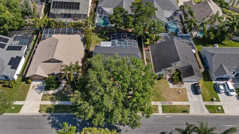 Picture of 6501 Appaloosa Drive, Tampa FL 33625