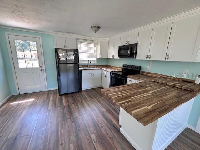 Picture of 951 Cr 453, Lake Panasoffkee FL 33538