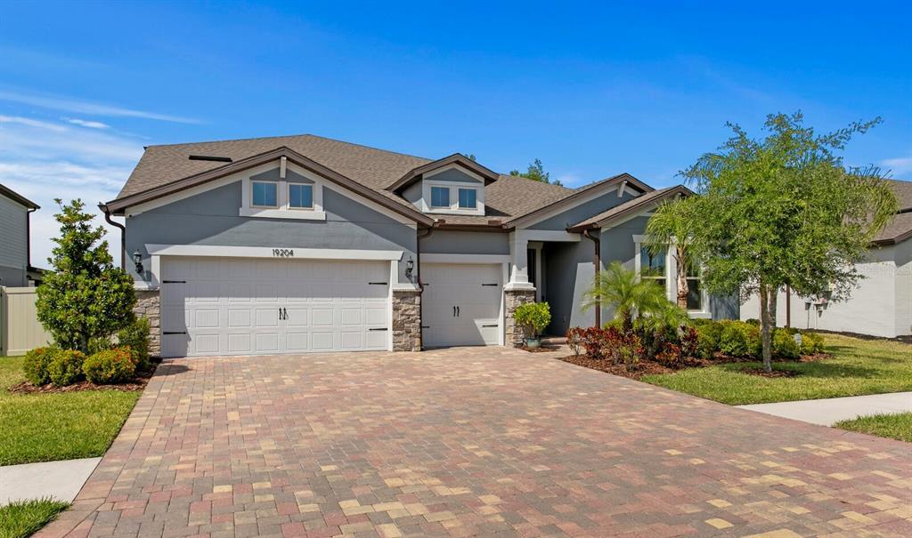 Picture of 19204 Briarbrook Drive, Tampa, FL 33647