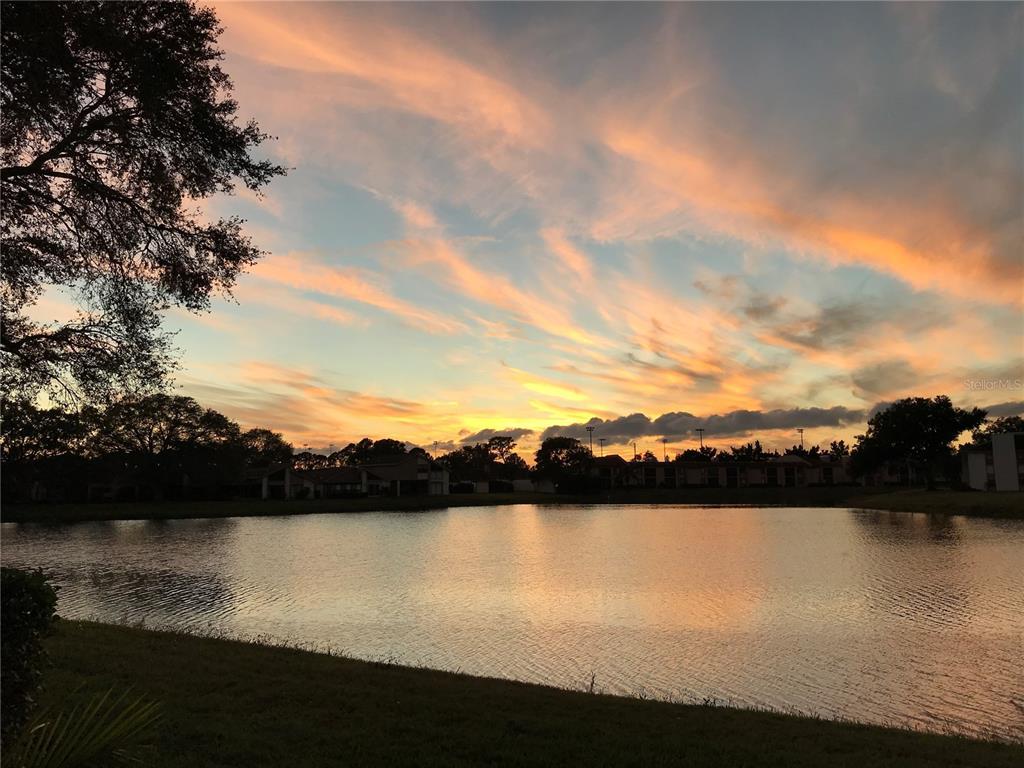 Picture of 215 Nina Way, Oldsmar, FL 34677
