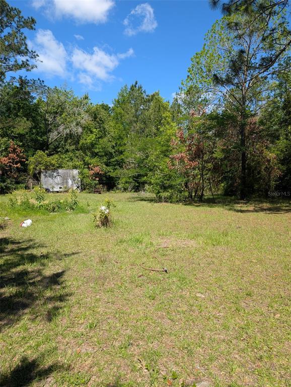 Picture of 1650 NE 128Th Avenue, Williston FL 32696