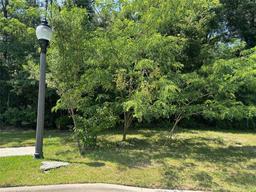 Picture of 2150 NW 50Th Way, Gainesville, FL 32605