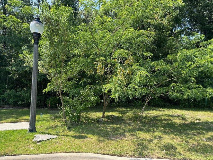 Picture of 2150 NW 50Th Way, Gainesville FL 32605
