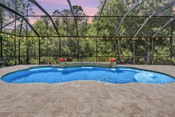 Picture of 12801 Castlemaine Drive, Tampa, FL 33626