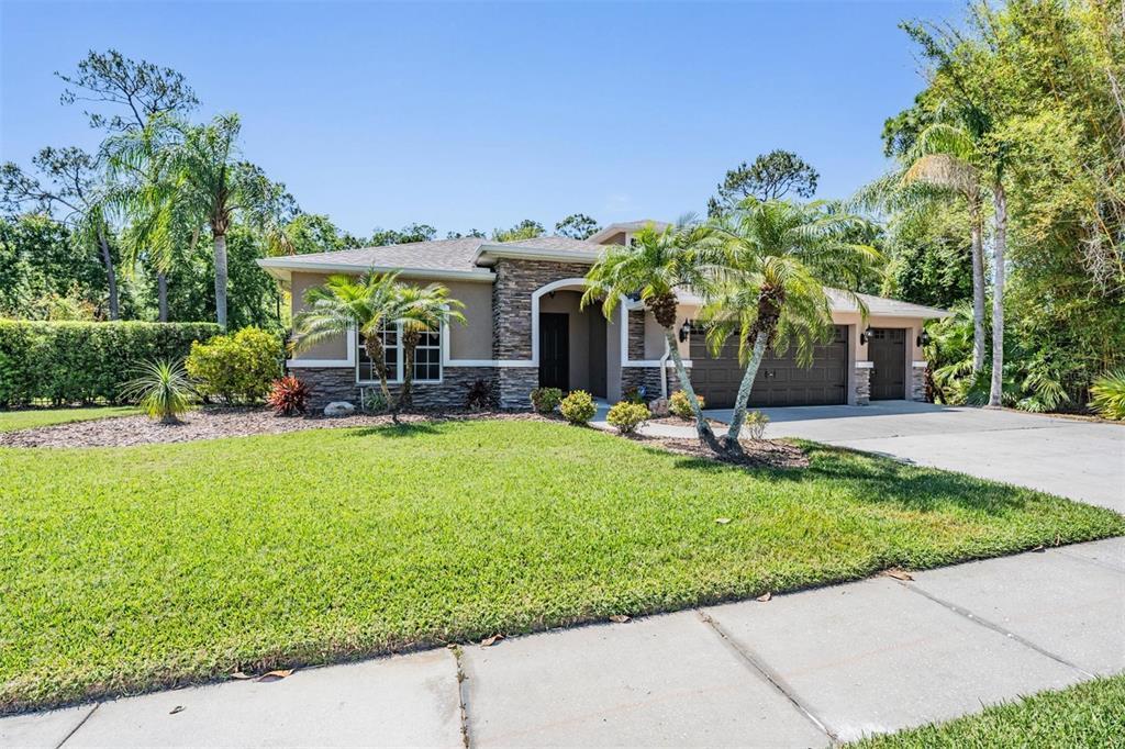 Picture of 12801 Castlemaine Drive, Tampa, FL 33626